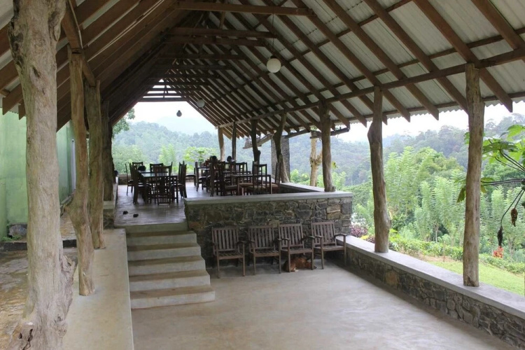 Yoho Rain Forest Eco Lodge