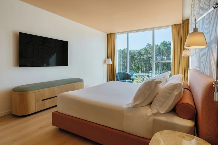 Deluxe Double room with park view