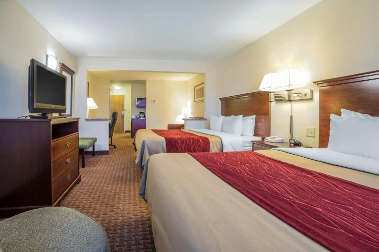 Quadruple Suite