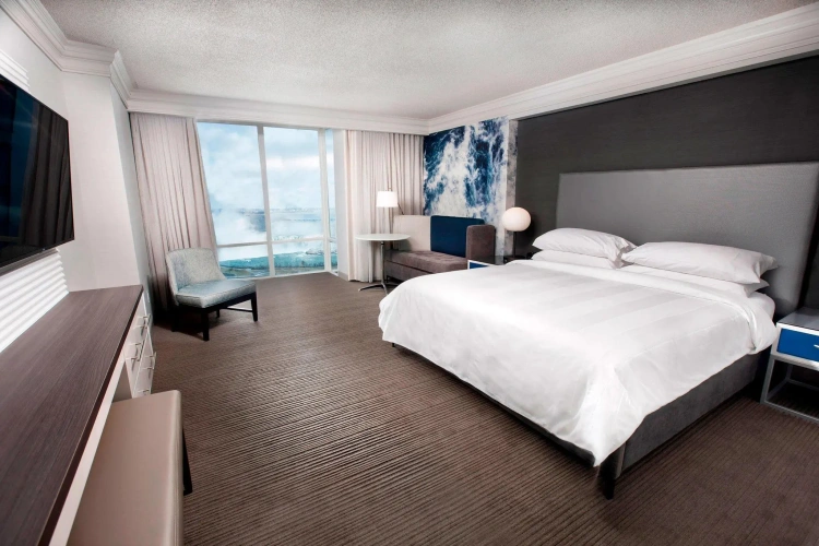 Double Fallsview Suite