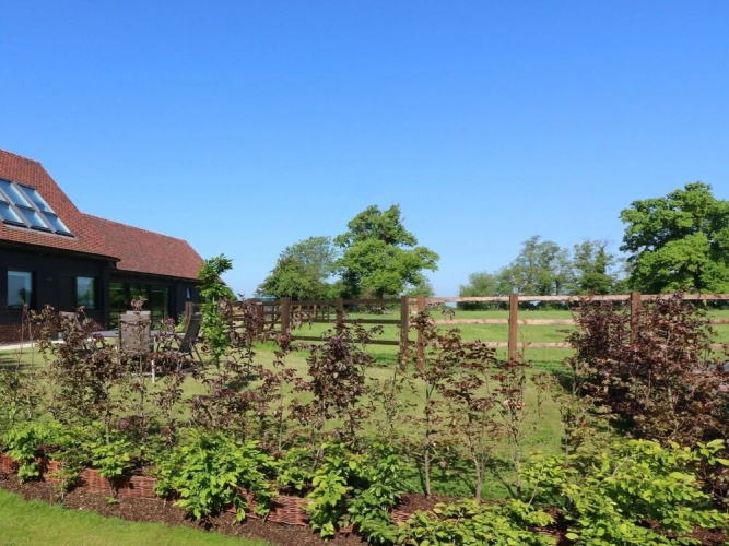 The Bull Pen