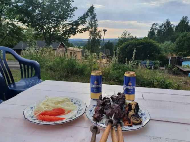 Utsikt mot viken