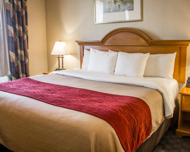 Metro Inn