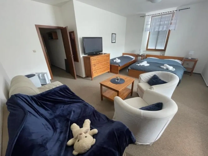 Standard Double room with view