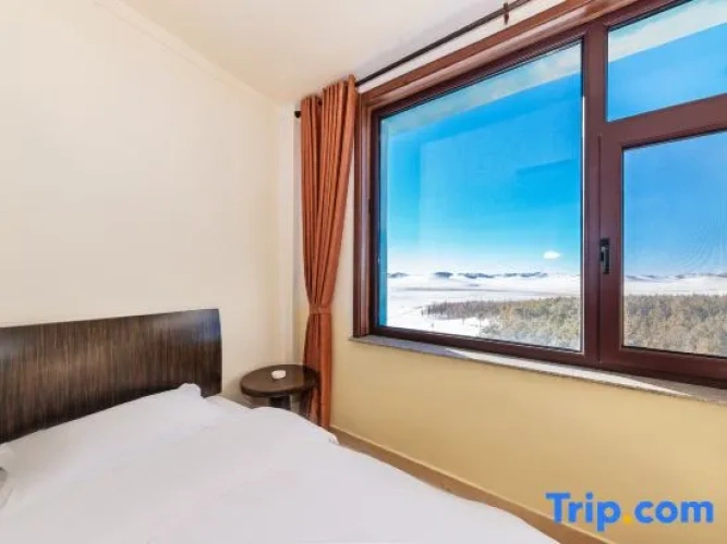 Standard Double room with view