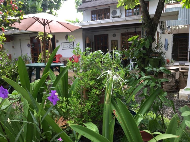 Cottage
