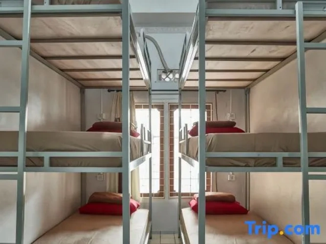 Bed in Dorm