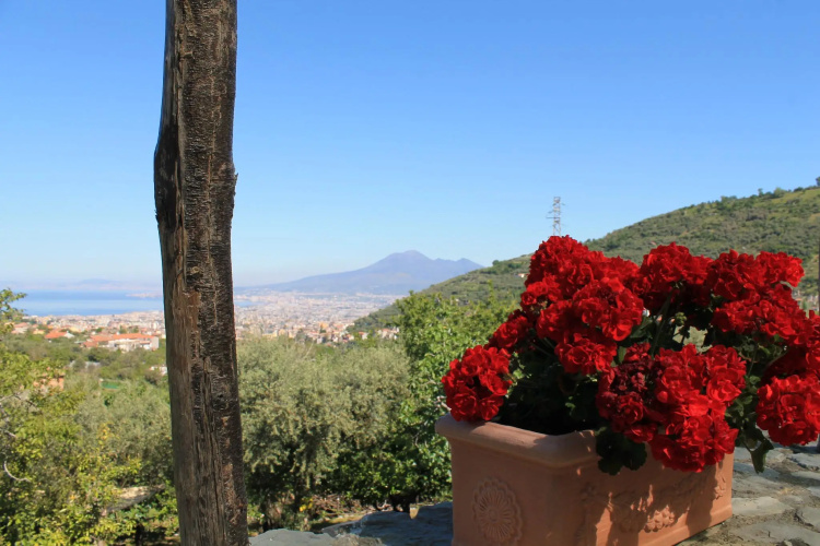 Agriturismo Casa Scola