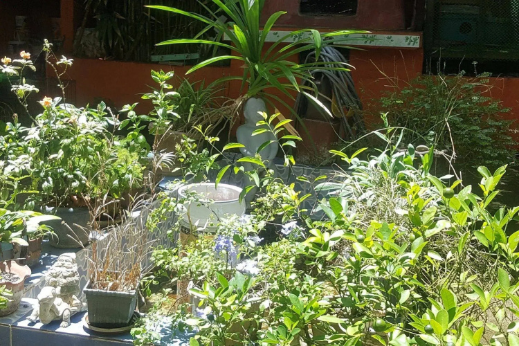 Dona Marta Boutique Hotel