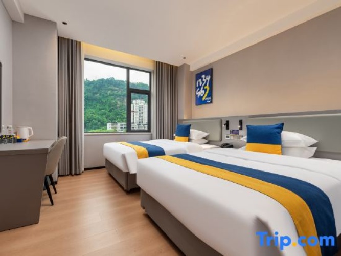 Superior Twin room with mountain view
