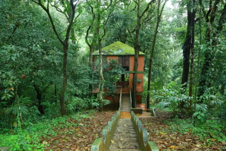 Vagamon Heights