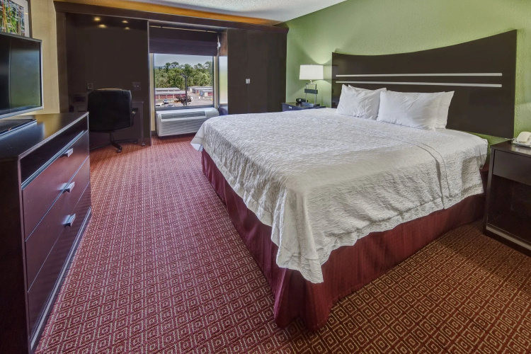 Hampton Inn Hot Springs