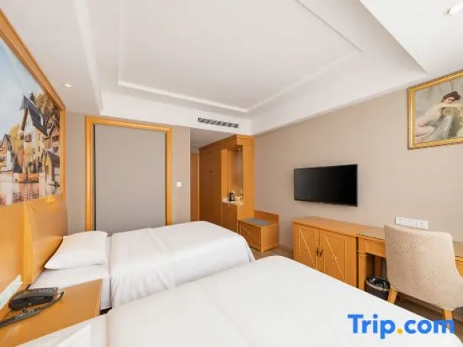 Deluxe Twin Family room