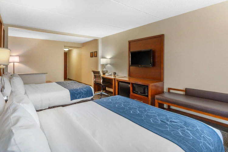 Quadruple Suite