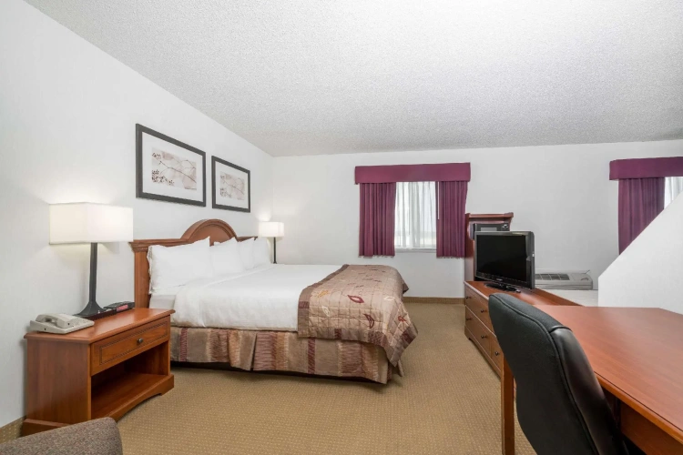 Deluxe Double Suite