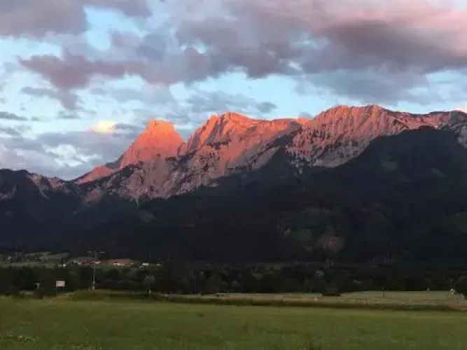 Wengerwirt