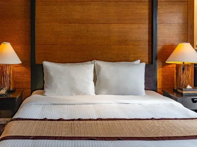 Standard Suite