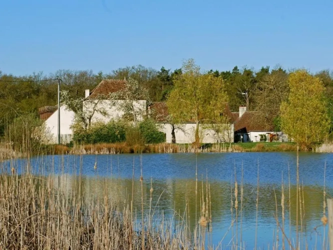 1 Bedroom Cottage