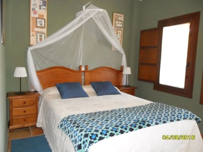 1 Bedroom Standard Apartment