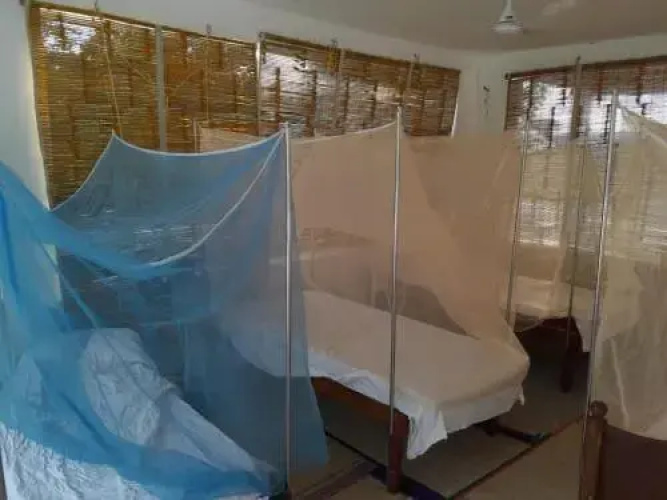 Blue Lotus Hostel