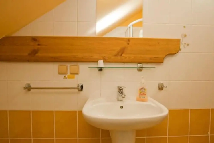 Comfort Single room