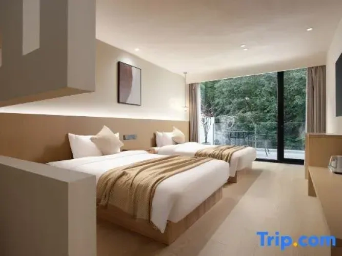 Standard Twin room with balcony and with mountain view