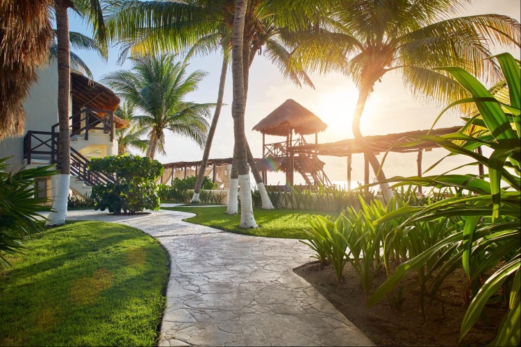 Desire Riviera Maya Resort - Adults Only photo 29