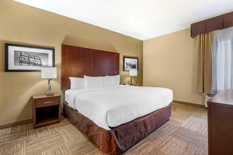 Comfort Inn & Suites Sea-Tac Airport photo 7