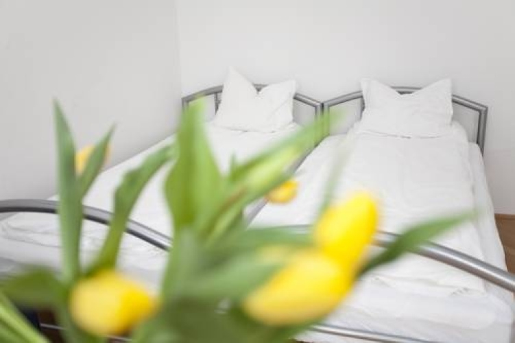 Vienna-apartment-one Wiedner