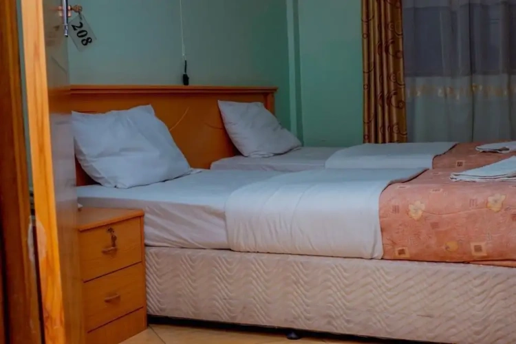 Deluxe Double room with city view