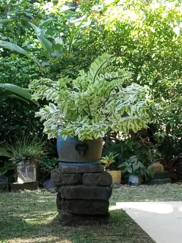 Lagoon Villa Beruwala