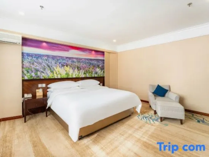 Superior Single Suite