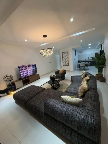 Luxury Apartment