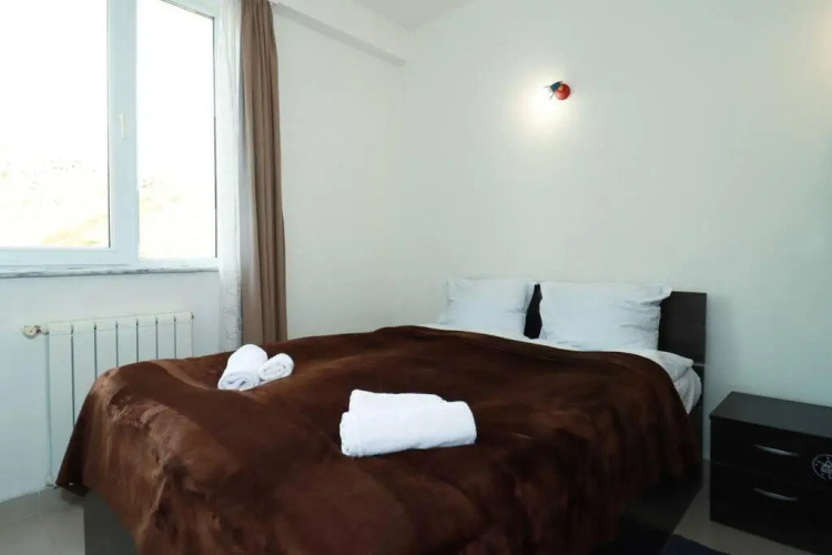1BR Apartment in Gudauri