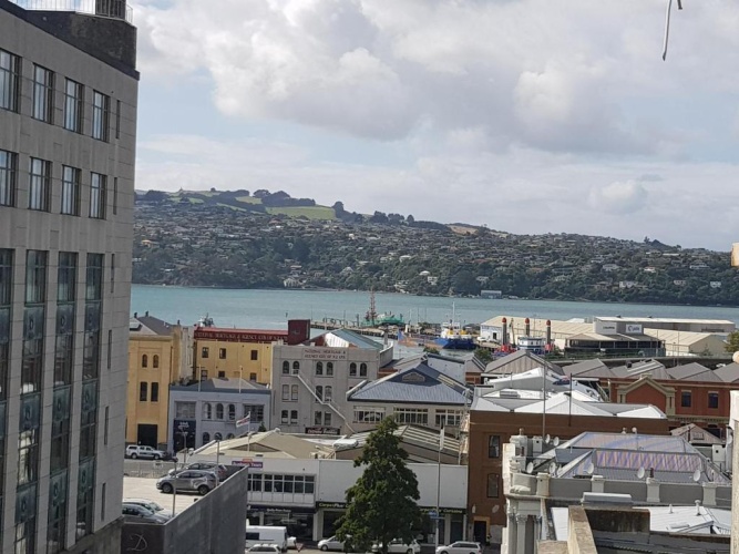 Fable Dunedin photo 25