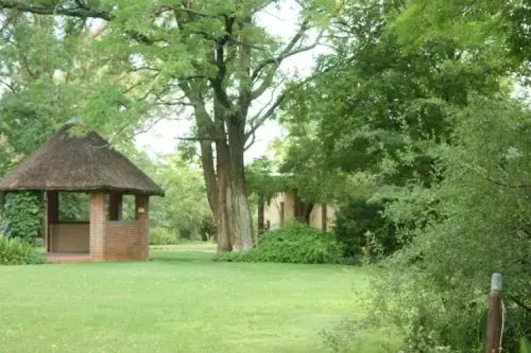 The Willows
