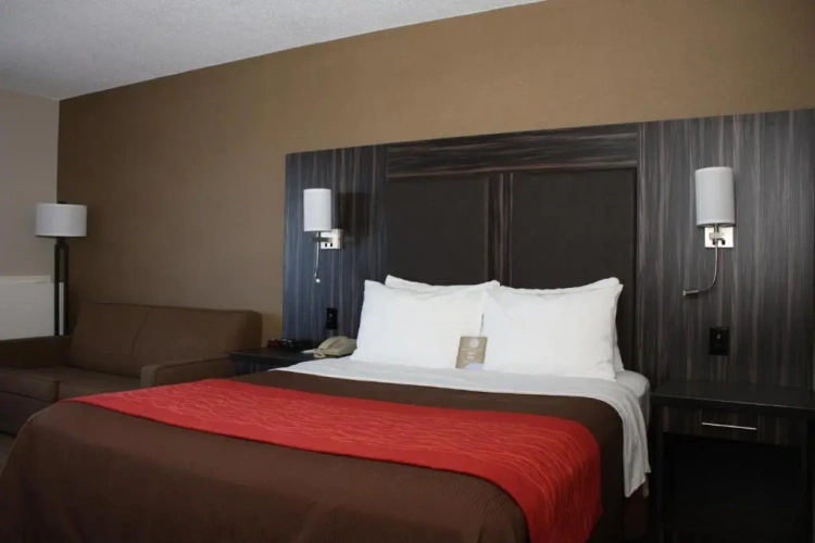 Standard Double Basement room