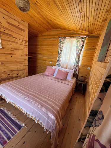 Afera Koy Evi