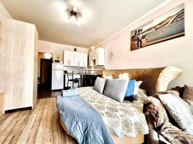 Фотография номера квартиры Риконе на улице 50 лет ВЛКСМ 19