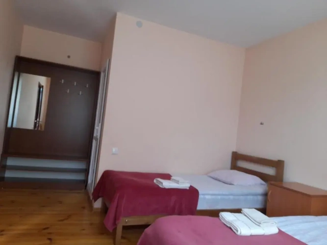 Standard Double room with mountain view