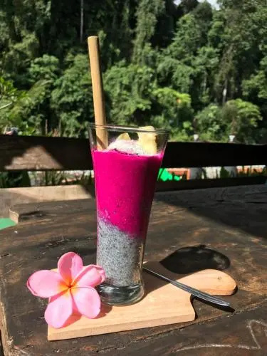 Jungle Inn