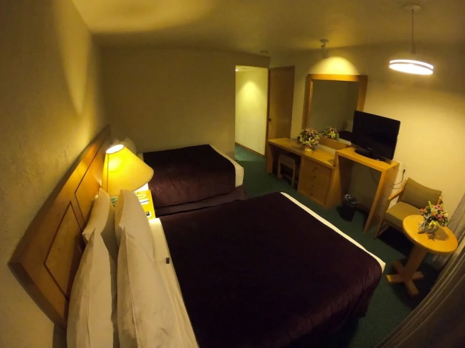 Standard Quadruple room with garden view