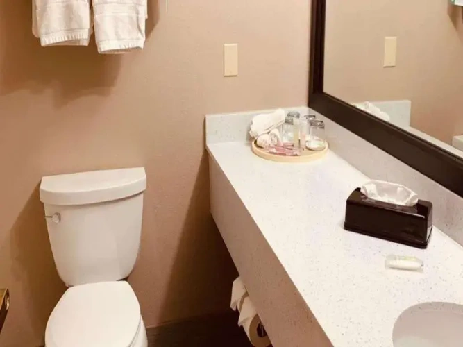 Quadruple Suite