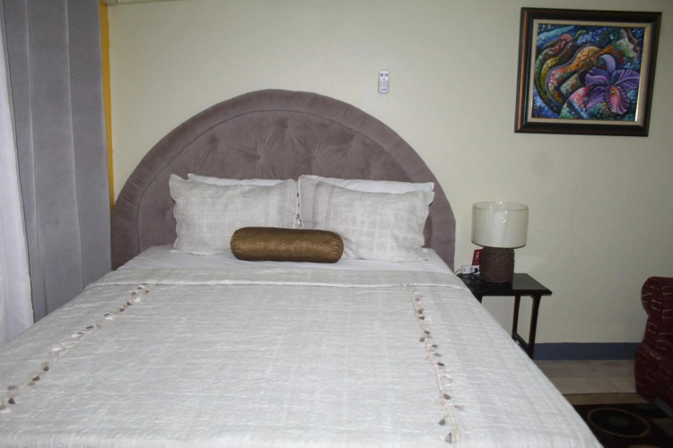 Comfy, Central & Elegant Studio New Kingston