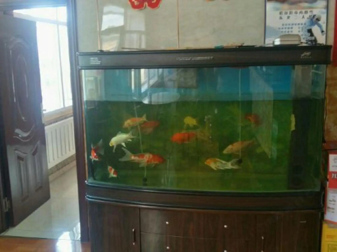 Harbin Shunhang Hotel