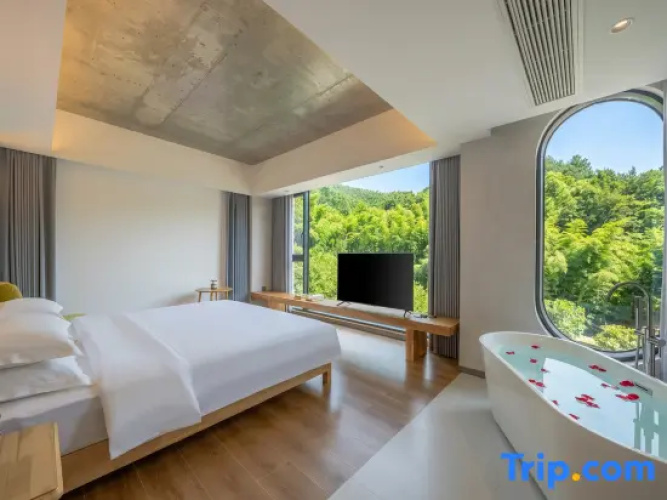 Standard Double room with mountain view