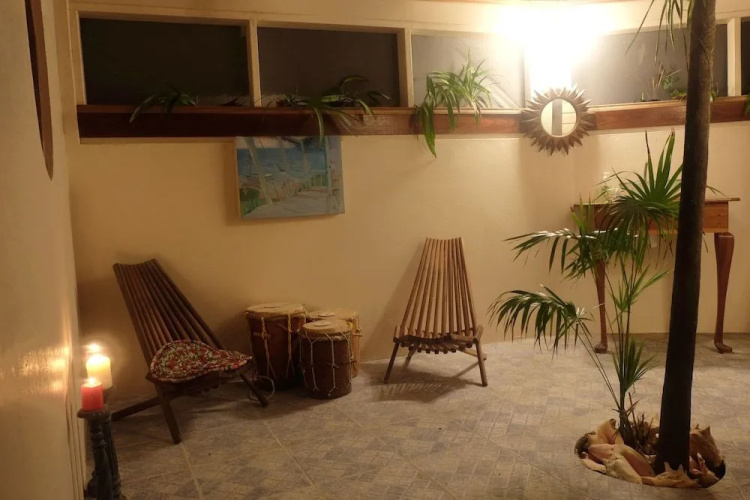 Jungle Cocoon