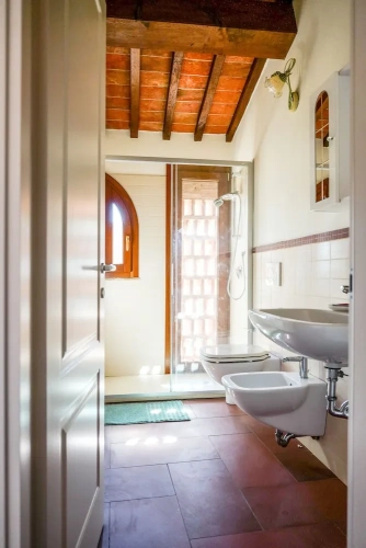 1 Bedroom Comfort Apartment