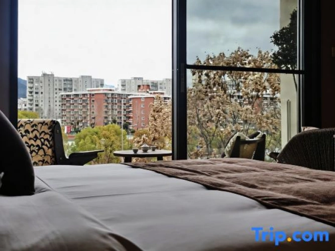 Standard Double room with balcony and with courtyard view