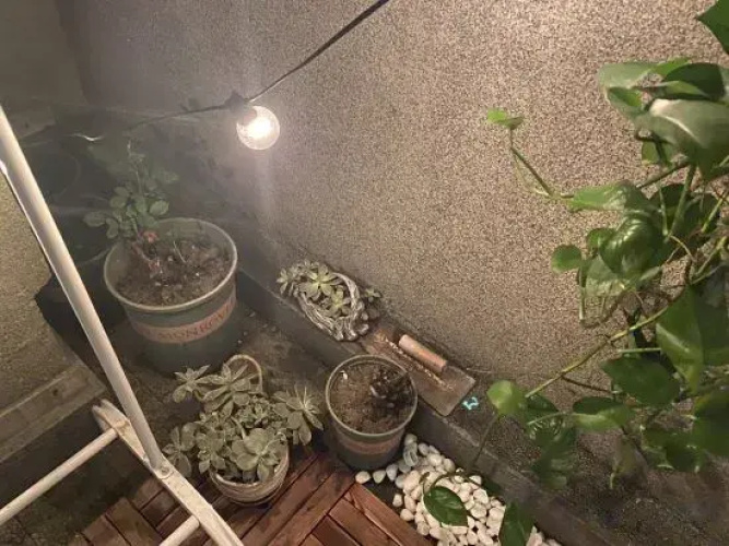 Shanghai Mier Cinema Apartment